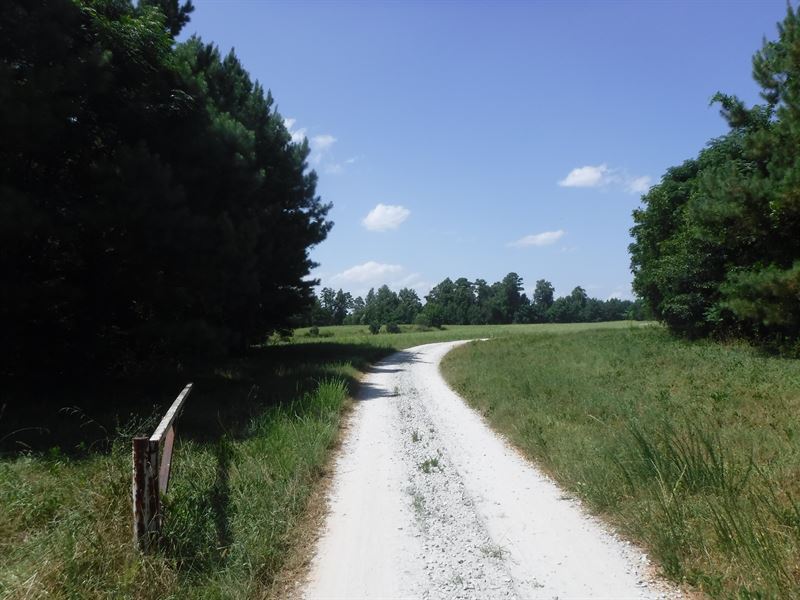 Pine Ridge : Stephens : Oglethorpe County : Georgia