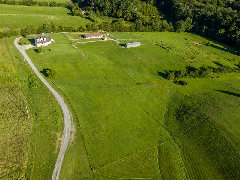 Working Miniature Horse Farm, Farm for Sale in Tennessee, 250915