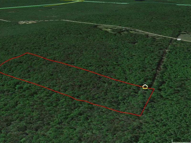 13 Acres For Sale in Carter County Farm for Sale in Ellsinore, Carter