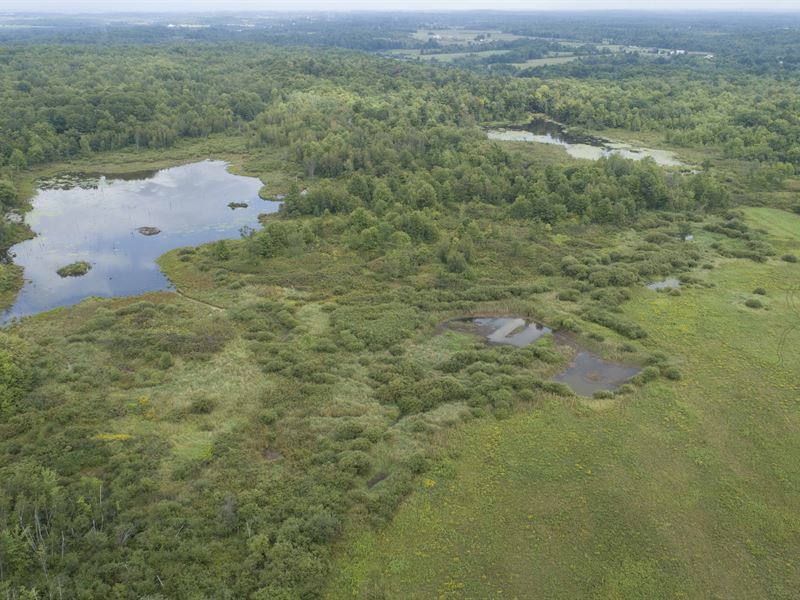Wildlife Sanctuary with Ponds : Gourverneur : Saint Lawrence County : New York
