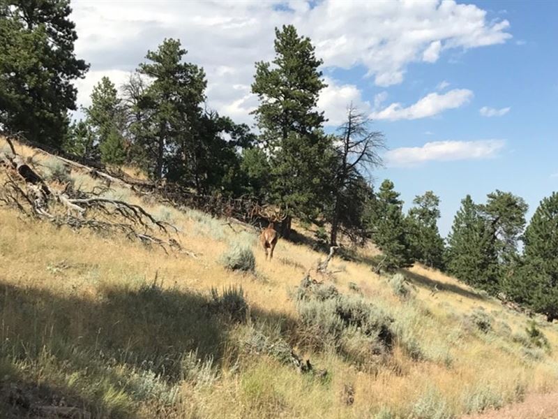 Tisdale Mountain Ranch, Farm for Sale in Wyoming, 251088 FARMFLIP