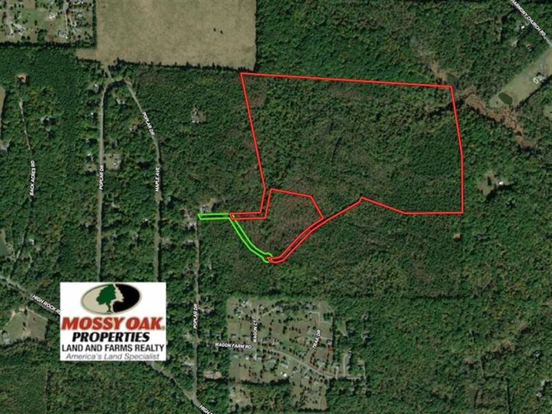 Reduced, 77.82 Acre Homesite : Efland : Orange County : North Carolina