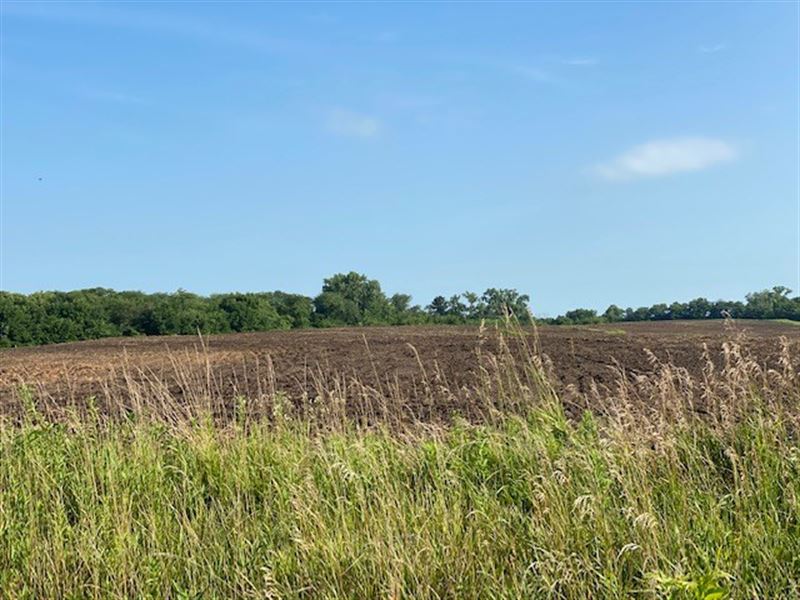 homes for sale by owner in st francois county missouri