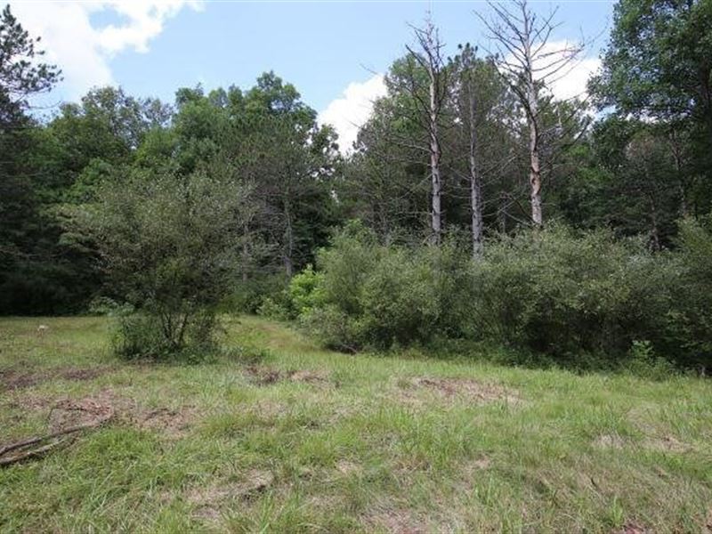 Greene County Indiana Recreational, Farm for Sale in Indiana, 251183