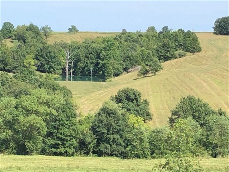 Northern Missouri Recreational Farm, Farm for Sale in Missouri, 251201