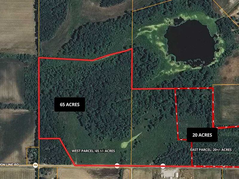 Land for Sale, 65 Acres Off State : Rochester : Fulton County : Indiana