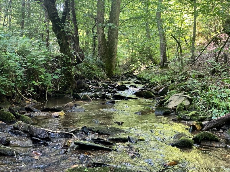 Talking Rock Creek East, Farm for Sale in 251379 FARMFLIP