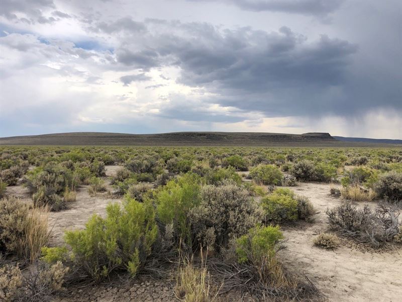 Nevada Recreational Ranch Hunting Farm for Sale in Gerlach, Washoe