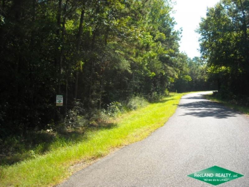 80 Ac, Timber & Hunting Farm for Sale in Sailes, Bienville Parish, Louisiana 251598 farmflip