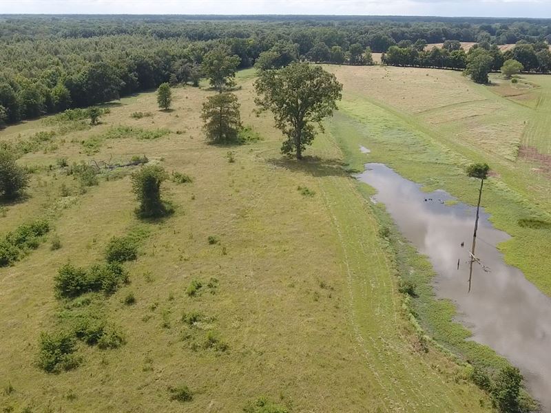 60 Acres for Sale at Auction Farm Auction in Waterproof, Tensas