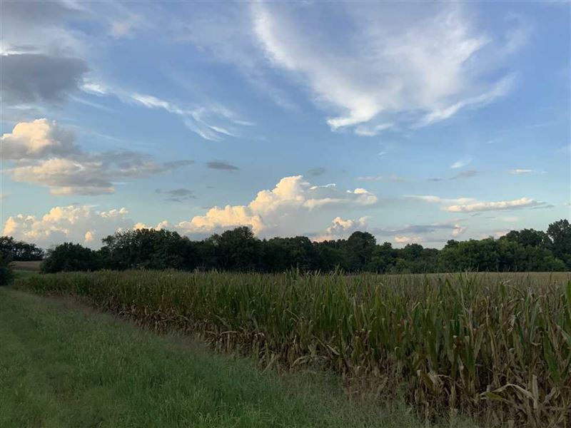 Rare 91.6 Acre Farm and Hunting pr, Farm for Sale in Tennessee, 251904