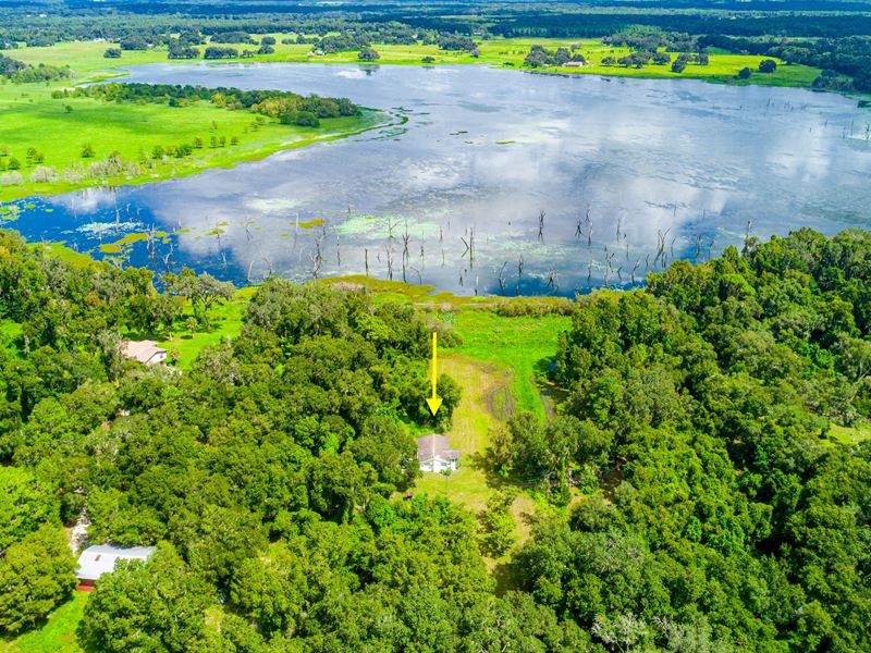 5 Acre Lakefront Cottage, Farm for Sale in Florida, 251995 FARMFLIP