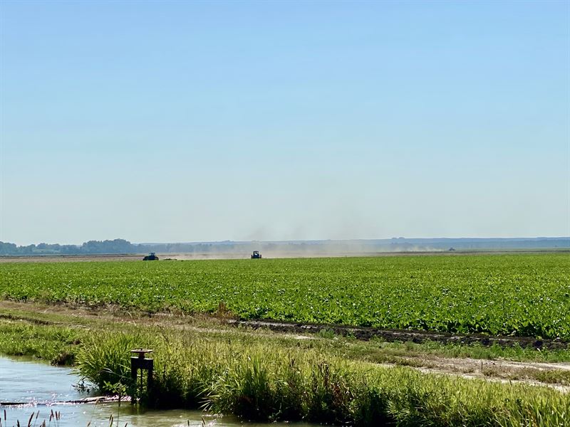 Missouri River Farm : Fairview : Richland County : Montana