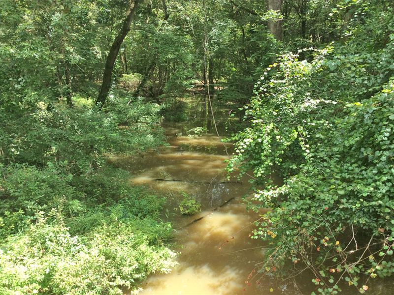Reduced Future Investment & Fun Now : Louisville : Barbour County : Alabama