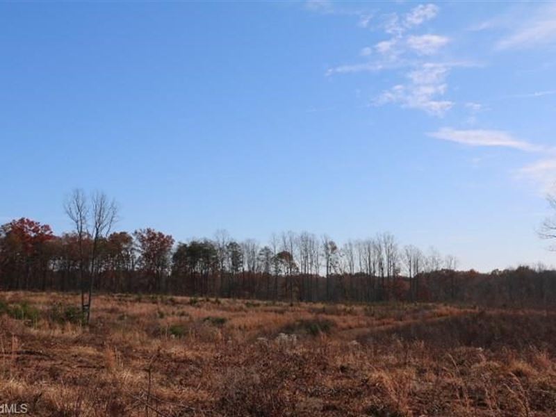 Lawsonville North Carolina Land, Farm for Sale in North Carolina