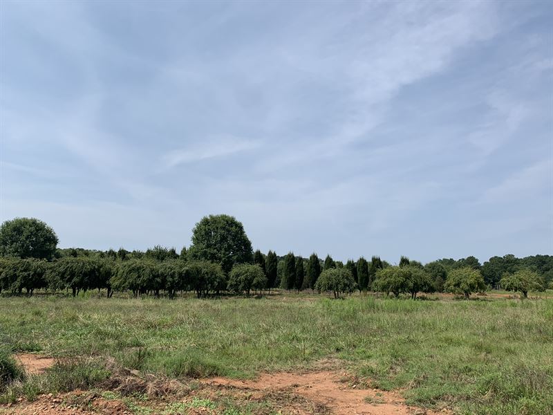 Beautiful Home Site on 18 Acres, Farm for Sale in 252534