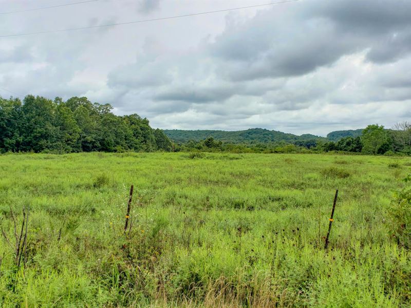 Land for Sale in Southern Missouri Farm for Sale in Mansfield, Wright