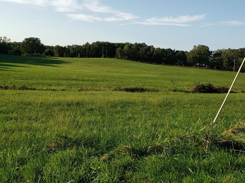 Vacant Farm Land in The Ozarks, Farm for Sale in Missouri, 252635 FARMFLIP