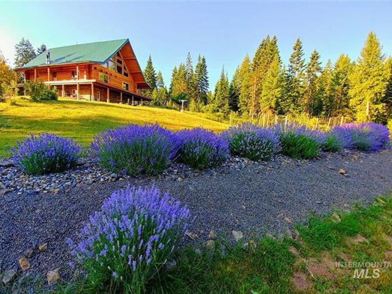 Off Grid Log Cabin Grangeville : Grangeville : Idaho County : Idaho
