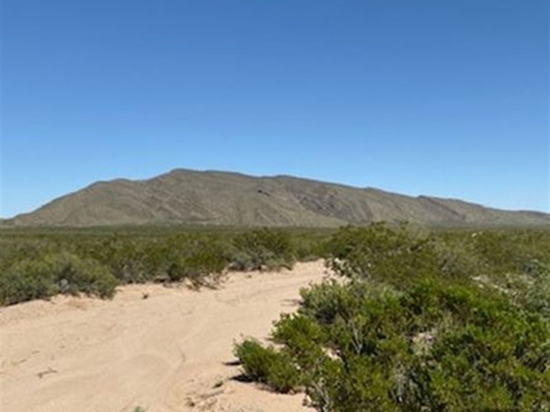 20 Acres Only $208/Mo : Sierra Blanca : Hudspeth County : Texas