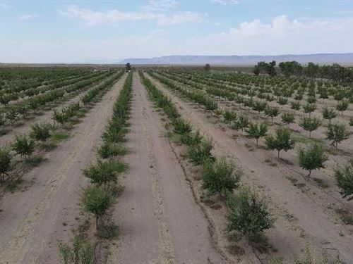 Arizona Organic Farms For Sale Organic Farmland For Sale Farmflip