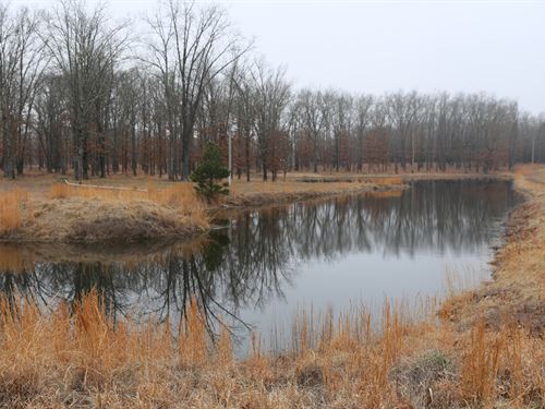 Vacant Land Ozark County Rivers : Pottersville : Ozark County : Missouri