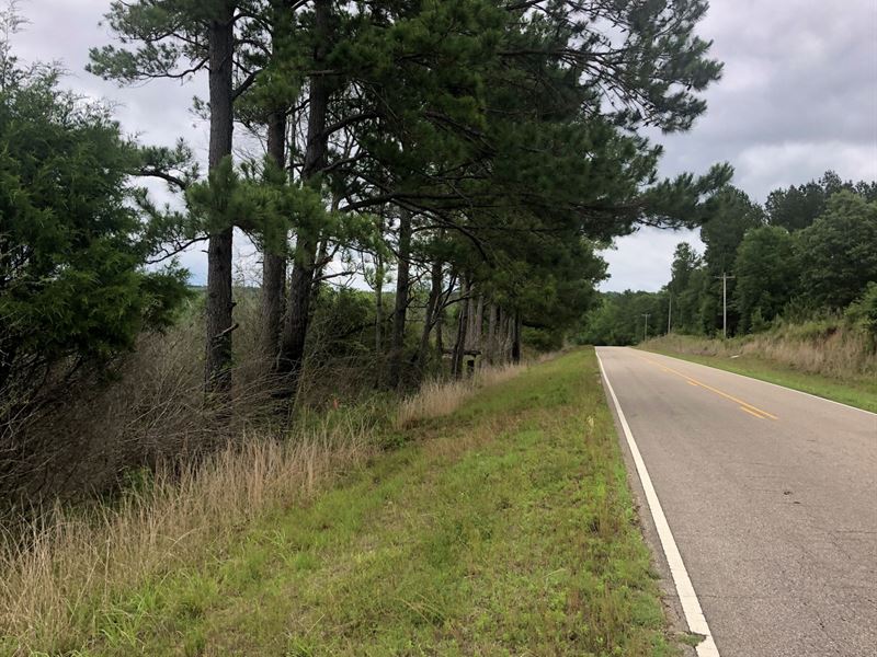 217 +/ Acres Divided Into 4 Tracts, Farm for Sale in Alabama, 253099