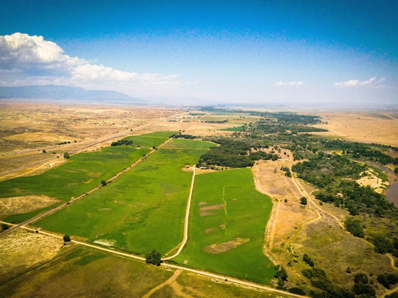 Tee Cross Ranches Southern Hay : Pueblo : El Paso County : Colorado
