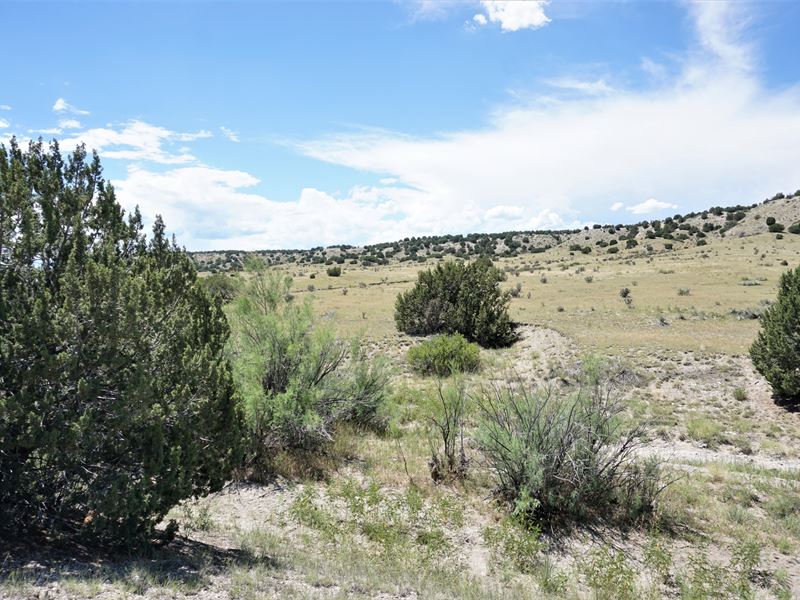 Parcel 49-Hatchet Ranch : Pueblo : Pueblo County : Colorado