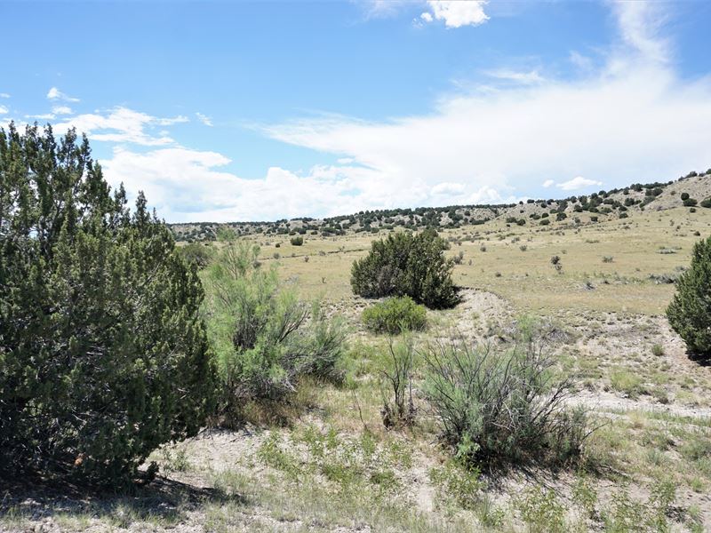 Parcel 49Hatchet Ranch, Farm for Sale in Colorado, 253165 FARMFLIP