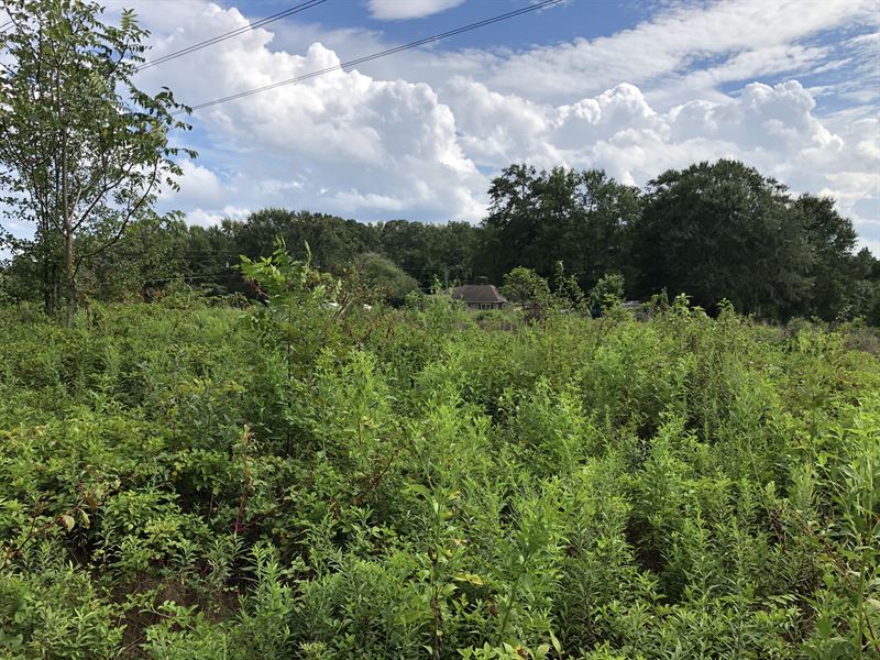 Piedmont Homestead and Farm : Piedmont : Greenville County : South Carolina