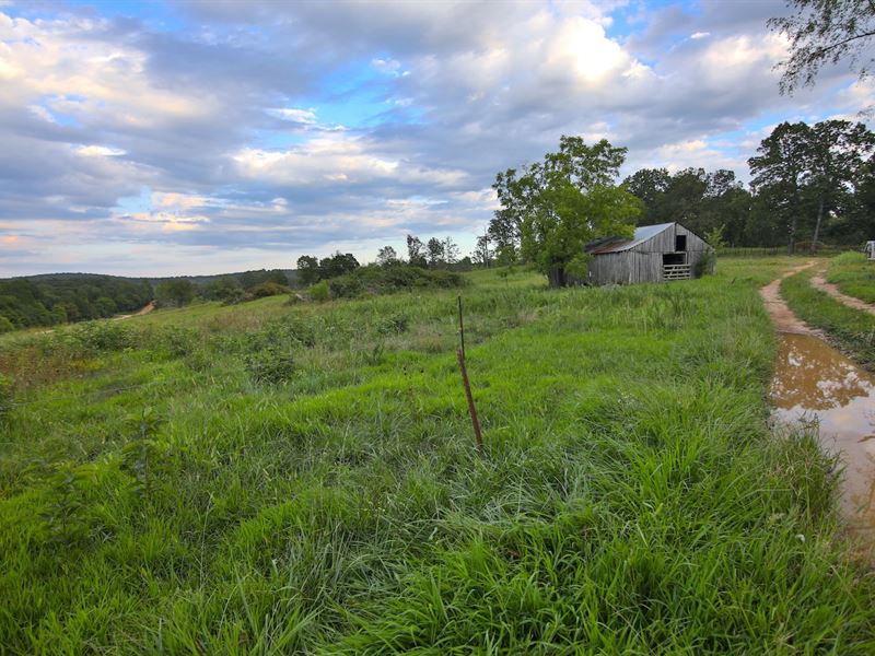 Farm for Sale in Arkansas, Farm for Sale in Arkansas, 253200 FARMFLIP