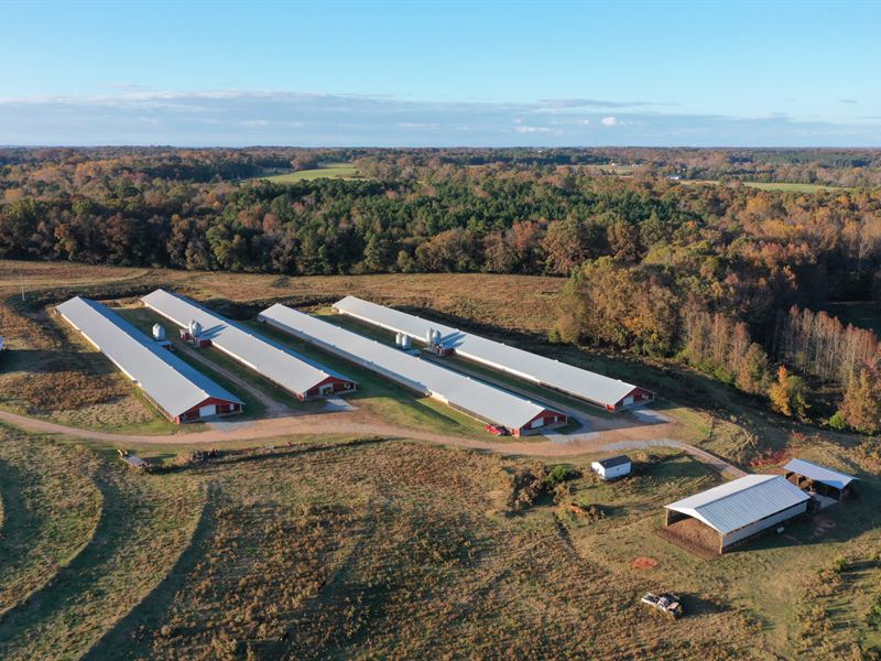 Triple B Farm, Iva, SC : Iva : Anderson County : South Carolina