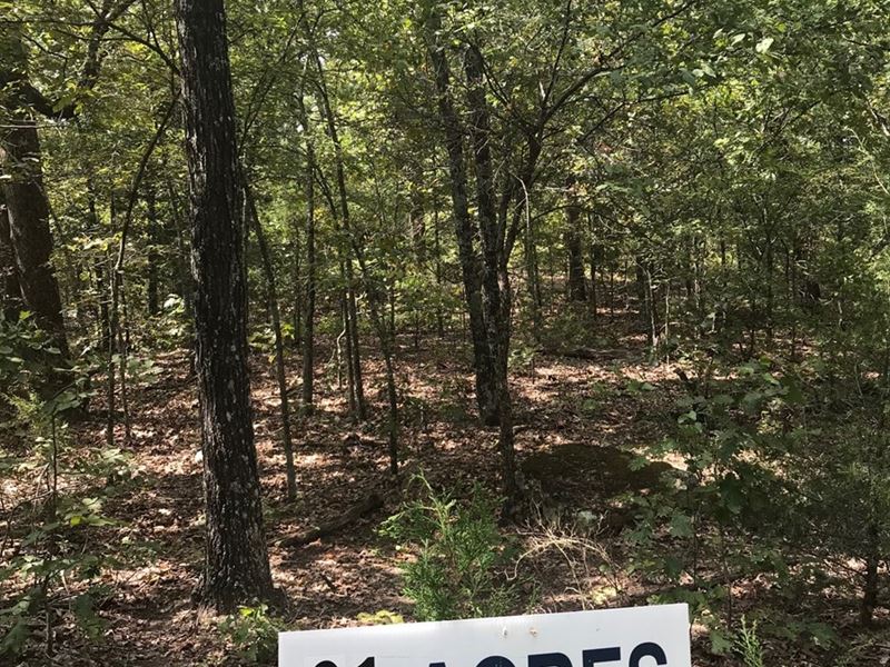 Live Life Large 90+ Acres Near Town : Yellville : Marion County : Arkansas