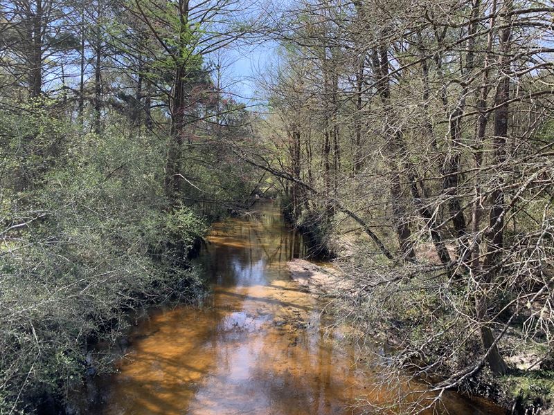 Dorcas Tract : Laurel Hill : Okaloosa County : Florida