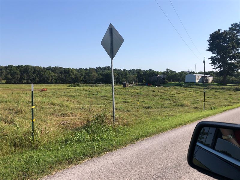37.7 Acre Warren County Farm 7 Farm Auction in Smiths Grove, Warren