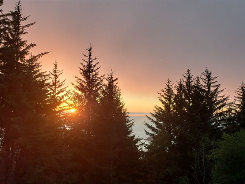 Houses For Sale In Curry County Oregon at David Lamb blog