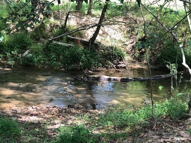 Creekfront Land for Sale in Ellijay Farm for Sale in Ellijay, Gilmer