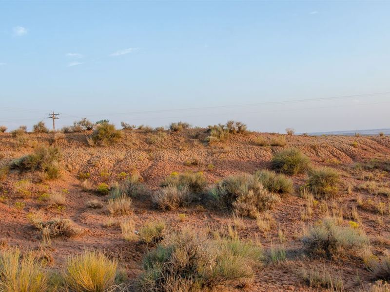 Vast 10 Acre Lot in Ballard, UT, Farm for Sale by Owner in Utah