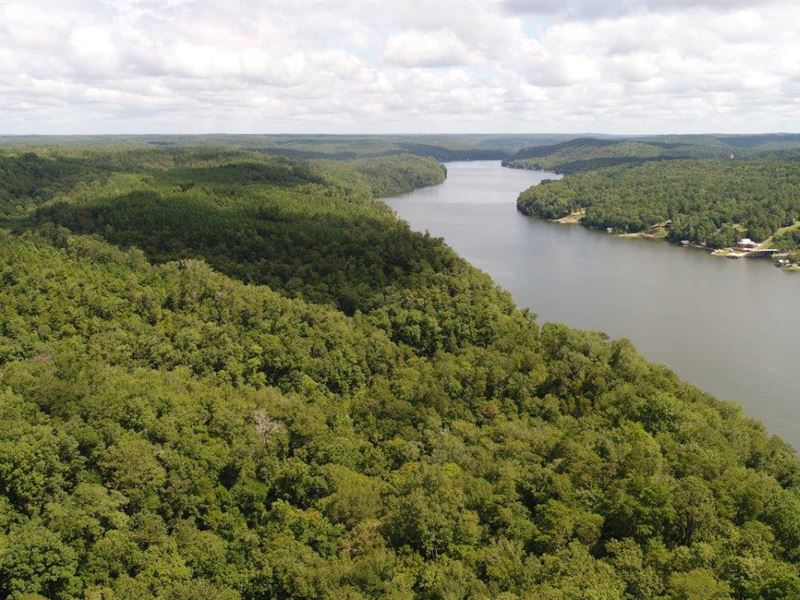 Black Warrior River Frontage : Northport : Tuscaloosa County : Alabama