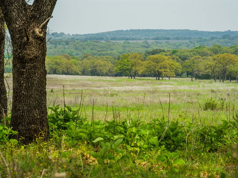 Beautiful Land in Willow City Farm for Sale in Willow City, Gillespie