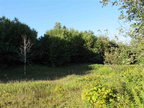 Wooded, Recreational, 160 Acres : Painesdale : Houghton County : Michigan