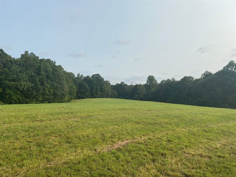 Land in Lawrenceburg Tennessee, Farm for Sale in Tennessee, 254274