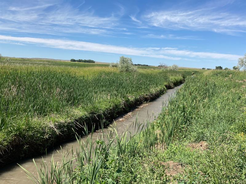 Montana Irrigated Land/Hay Auction, Farm for Sale in Montana, 254577 FARMFLIP