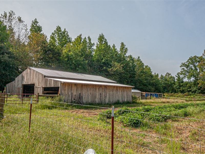 Farm, Barn, Garden Site, 2 Acre Farm for Sale in Selmer, McNairy
