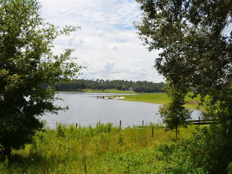 St Clair Lake Ranch, Farm for Sale in Florida, 254705 FARMFLIP