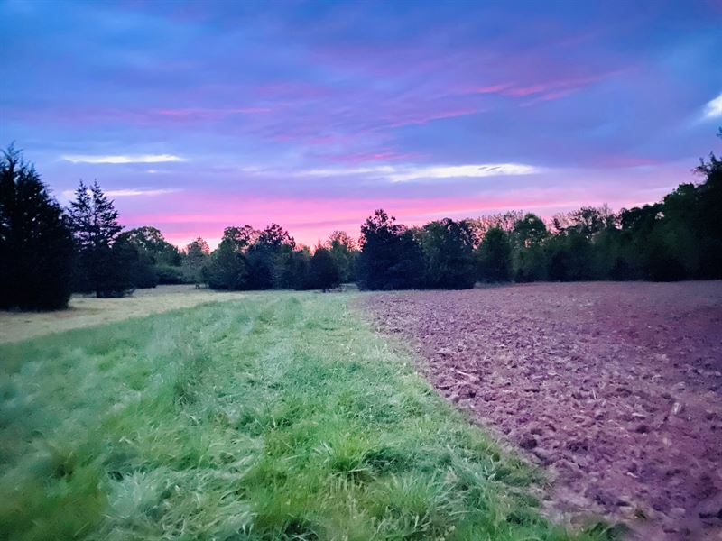 Turnberry Farms Lot 14, Farm for Sale in South Carolina, 254728 FARMFLIP