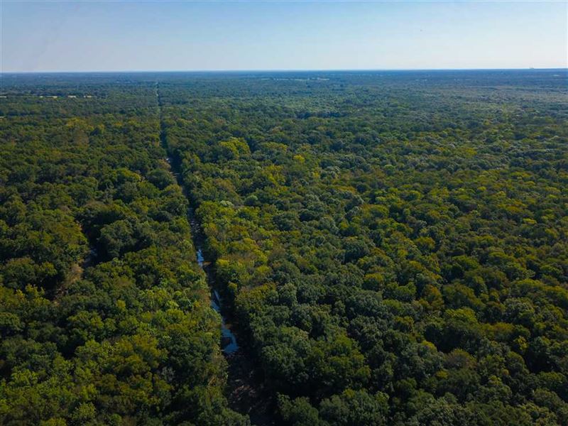 134 Acres of Exceptional Hunting : Streetman : Freestone County : Texas