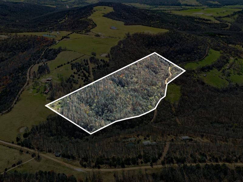 43 Acres in Elkins, Arkansas : Elkins : Washington County : Arkansas
