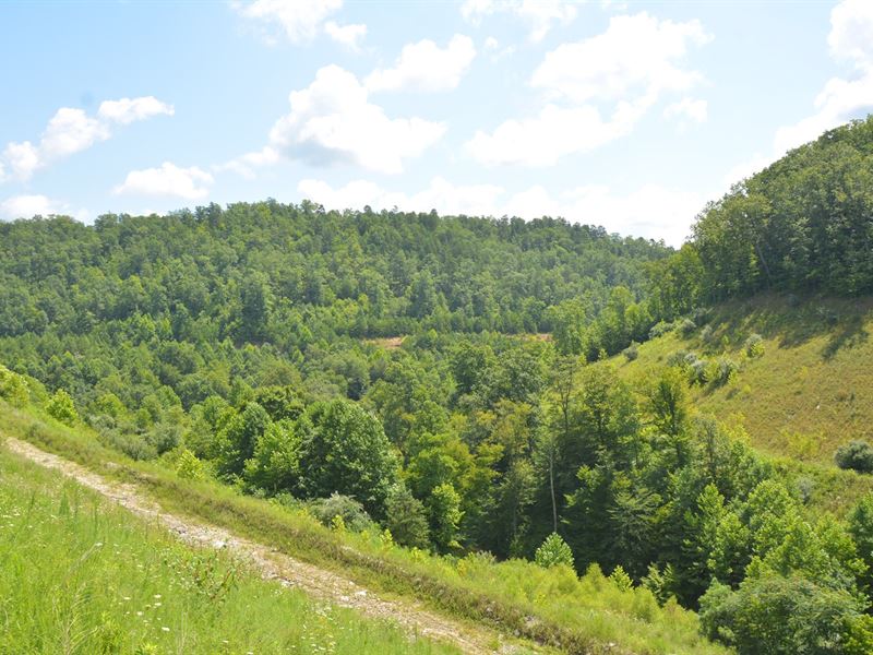 Kentucky Off Grid Hunting Land : Inez : Lawrence County : Kentucky